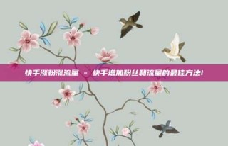 快手涨粉涨流量 - 快手增加粉丝和流量的最佳方法!