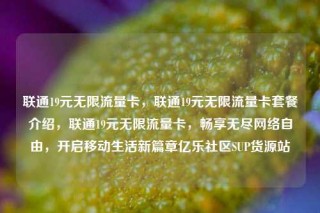 联通19元无限流量卡,联通19元无限流量卡套餐介绍,联通19元无限流量卡,畅享无尽网络自由,开启移动生活新篇章亿乐社区SUP货源站