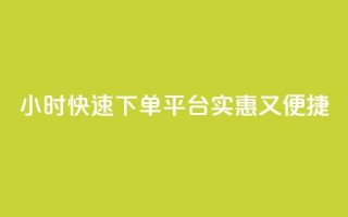 24小时快速下单平台,实惠又便捷
