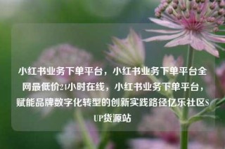 小红书业务下单平台,小红书业务下单平台全网最低价24小时在线,小红书业务下单平台,赋能品牌数字化转型的创新实践路径亿乐社区SUP货源站