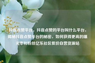 抖音点赞平台,抖音点赞的平台叫什么平台,揭秘抖音点赞平台的秘密,如何获得更高的曝光率和粉丝亿乐社区低价自营货源站