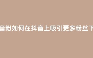 刷抖音粉 - 如何在抖音上吸引更多粉丝?。