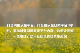 抖音刷播放量平台,抖音播放量自助平台24小时,揭秘抖音刷播放量平台内幕—如何让视频一夜爆红?亿乐社区低价自营货源站