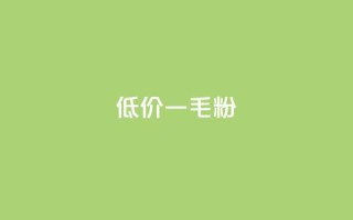 低价Ks一毛1000粉 - 低价Ks:1000粉只需1毛,请速来抢购!~