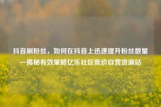 抖音刷粉丝，如何在抖音上迅速提升粉丝数量—揭秘有效策略亿乐社区低价自营货源站