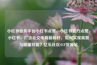 小红书业务平台小红书点赞,小红书官方点赞,小红书,打造社交电商新标杆,如何实现高赞与销量双赢?亿乐社区SUP货源站