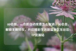 QQ会员,qq会员自动续费怎么取消,QQ会员,解锁无限特权,开启精彩生活新篇章亿乐社区SUP货源站