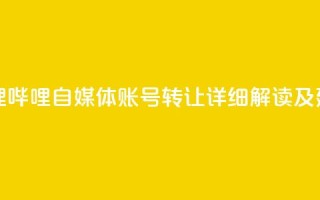 哔哩哔哩自媒体账号转让：详细解读及建议