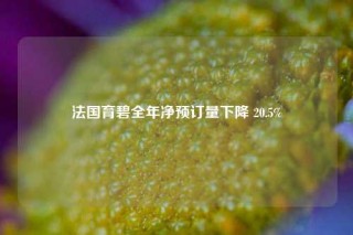 法国育碧全年净预订量下降 20.5%