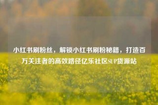 小红书刷粉丝,解锁小红书刷粉秘籍,打造百万关注者的高效路径亿乐社区SUP货源站