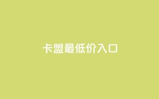 qq卡盟最低价入口 - qq卡盟入口,价格最低,急速获取~