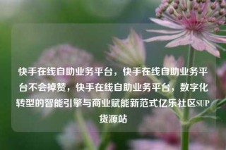 快手在线自助业务平台,快手在线自助业务平台不会掉赞,快手在线自助业务平台,数字化转型的智能引擎与商业赋能新范式亿乐社区SUP货源站