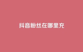 抖音粉丝在哪里充 - 哪里可以快速增加抖音粉丝数!