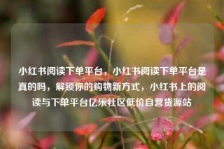 小红书阅读下单平台,小红书阅读下单平台是真的吗,解锁你的购物新方式,小红书上的阅读与下单平台亿乐社区低价自营货源站
