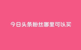 今日头条粉丝哪里可以买 - 在哪里可以购买今日头条粉丝?!