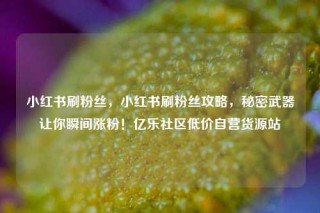 小红书刷粉丝,小红书刷粉丝攻略,秘密武器让你瞬间涨粉!亿乐社区低价自营货源站