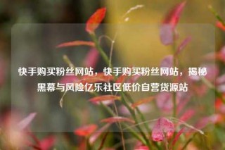 快手购买粉丝网站,快手购买粉丝网站,揭秘黑幕与风险亿乐社区低价自营货源站