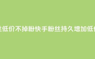 快手粉丝低价不掉粉(快手粉丝持久增加:低价不失粉)