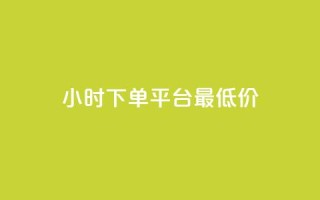24小时下单平台最低价 - 快速下单,极速购买,低价平台!