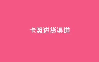 卡盟进货渠道 - 卡盟采购途径全揭秘,让你轻松进货!