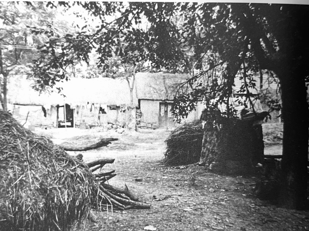 百年前淮北乡村的风俗画卷——读郑重 《九十自述》 第3张 百年前淮北乡村的风俗画卷——读郑重 《九十自述》 第3张