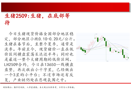 中天期货:商品指数小阳反弹 花生高位震荡 第4张 中天期货:商品指数小阳反弹 花生高位震荡 第4张