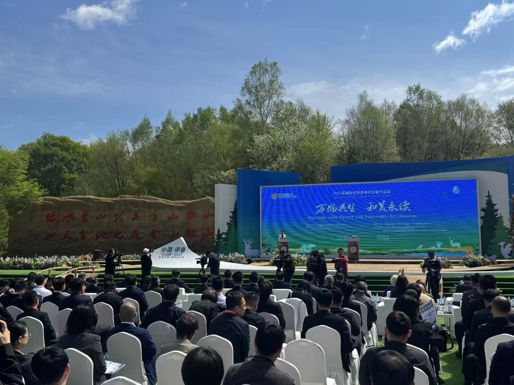 在国家主场活动举办地伊春，探寻老林区的生态密码  第1张
