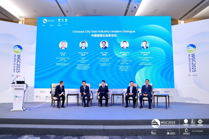 世界燃气大会首次落地中国，中外大咖都聊了什么？  第3张