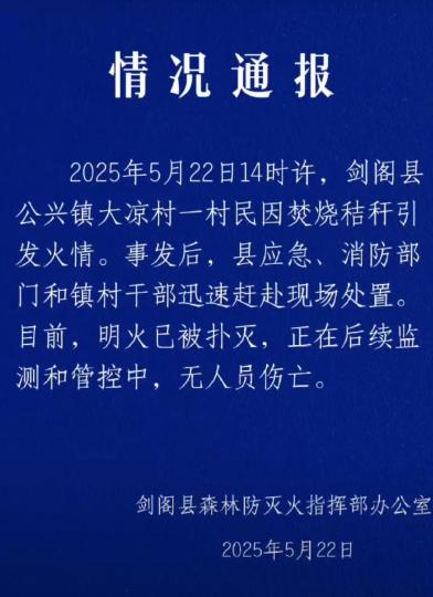 四川剑阁：山火系一村民烧秸秆引发，明火已扑灭无人员伤亡  第1张