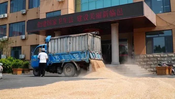 朴素亲民的政府大院，越多越好  第2张
