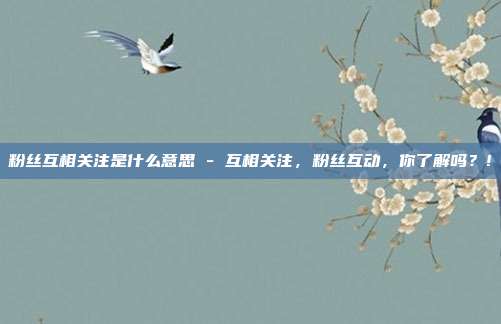 粉丝互相关注是什么意思 - 互相关注，粉丝互动，你了解吗？!  第1张