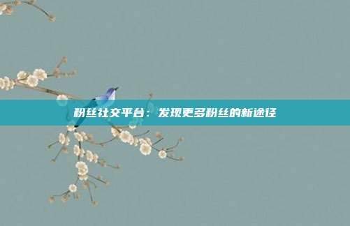 粉丝社交平台：发现更多粉丝的新途径  第1张