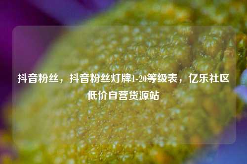 抖音粉丝，抖音粉丝灯牌1-20等级表	，亿乐社区低价自营货源站  第1张