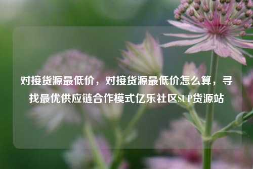 对接货源最低价	，对接货源最低价怎么算，寻找最优供应链合作模式亿乐社区SUP货源站  第1张