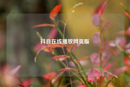 抖音在线播放网页版  第1张