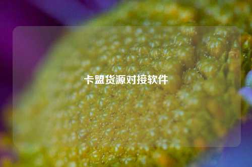卡盟货源对接软件  第1张