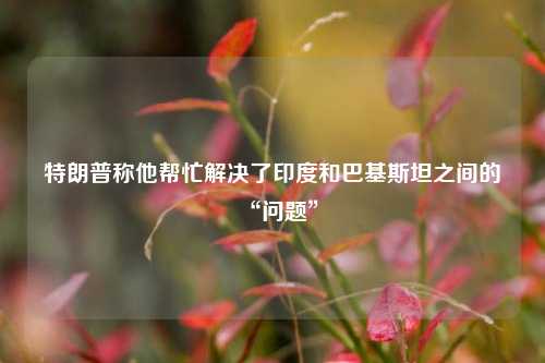 特朗普称他帮忙解决了印度和巴基斯坦之间的“问题”  第1张