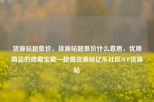 货源站超低价	，货源站超低价什么意思，优质商品的隐藏宝藏—超值货源站亿乐社区SUP货源站  第1张