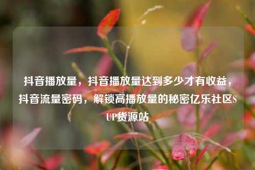 抖音播放量	，抖音播放量达到多少才有收益，抖音流量密码，解锁高播放量的秘密亿乐社区SUP货源站  第1张