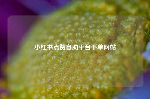 小红书点赞自助平台下单网站  第1张
