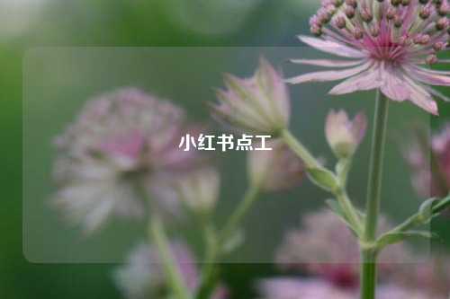 小红书点工  第1张