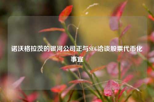诺沃格拉茨的银河公司正与SEC洽谈股票代币化事宜  第1张