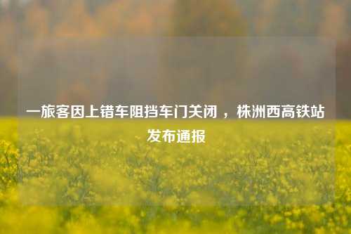 一旅客因上错车阻挡车门关闭 	，株洲西高铁站发布通报  第1张