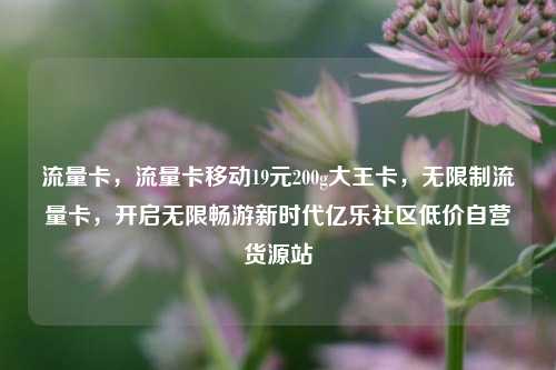 流量卡，流量卡移动19元200g大王卡	，无限制流量卡，开启无限畅游新时代亿乐社区低价自营货源站  第1张