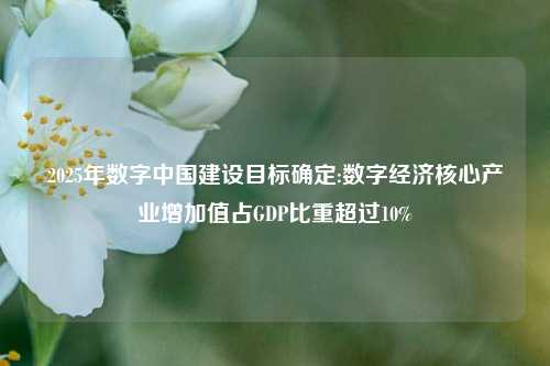 2025年数字中国建设目标确定:数字经济核心产业增加值占GDP比重超过10%  第1张