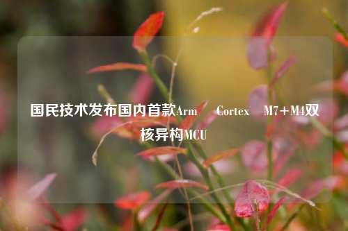 国民技术发布国内首款Arm® Cortex®M7+M4双核异构MCU  第1张
