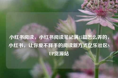 小红书阅读	，小红书阅读笔记满15篇怎么弄的，小红书，让你爱不释手的阅读新方式亿乐社区SUP货源站  第1张
