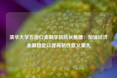 清华大学五道口金融学院院长焦捷：加强经济金融稳定以提高韧性意义重大  第1张
