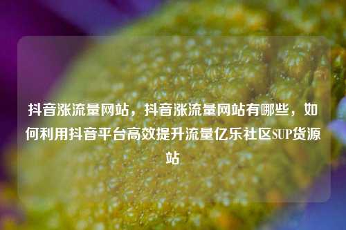 抖音涨流量网站，抖音涨流量网站有哪些	，如何利用抖音平台高效提升流量亿乐社区SUP货源站  第1张