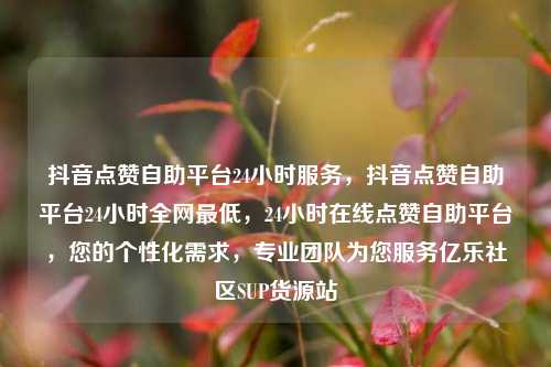 抖音点赞自助平台24小时服务，抖音点赞自助平台24小时全网最低	，24小时在线点赞自助平台，您的个性化需求，专业团队为您服务亿乐社区SUP货源站  第1张